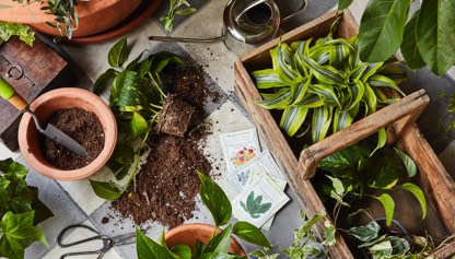 Gardening