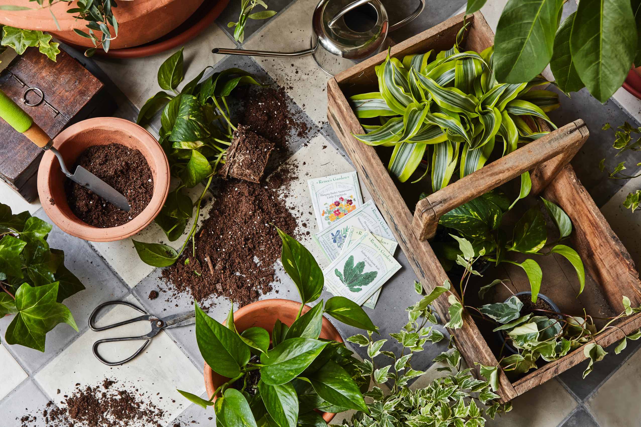 Gardening tools included.