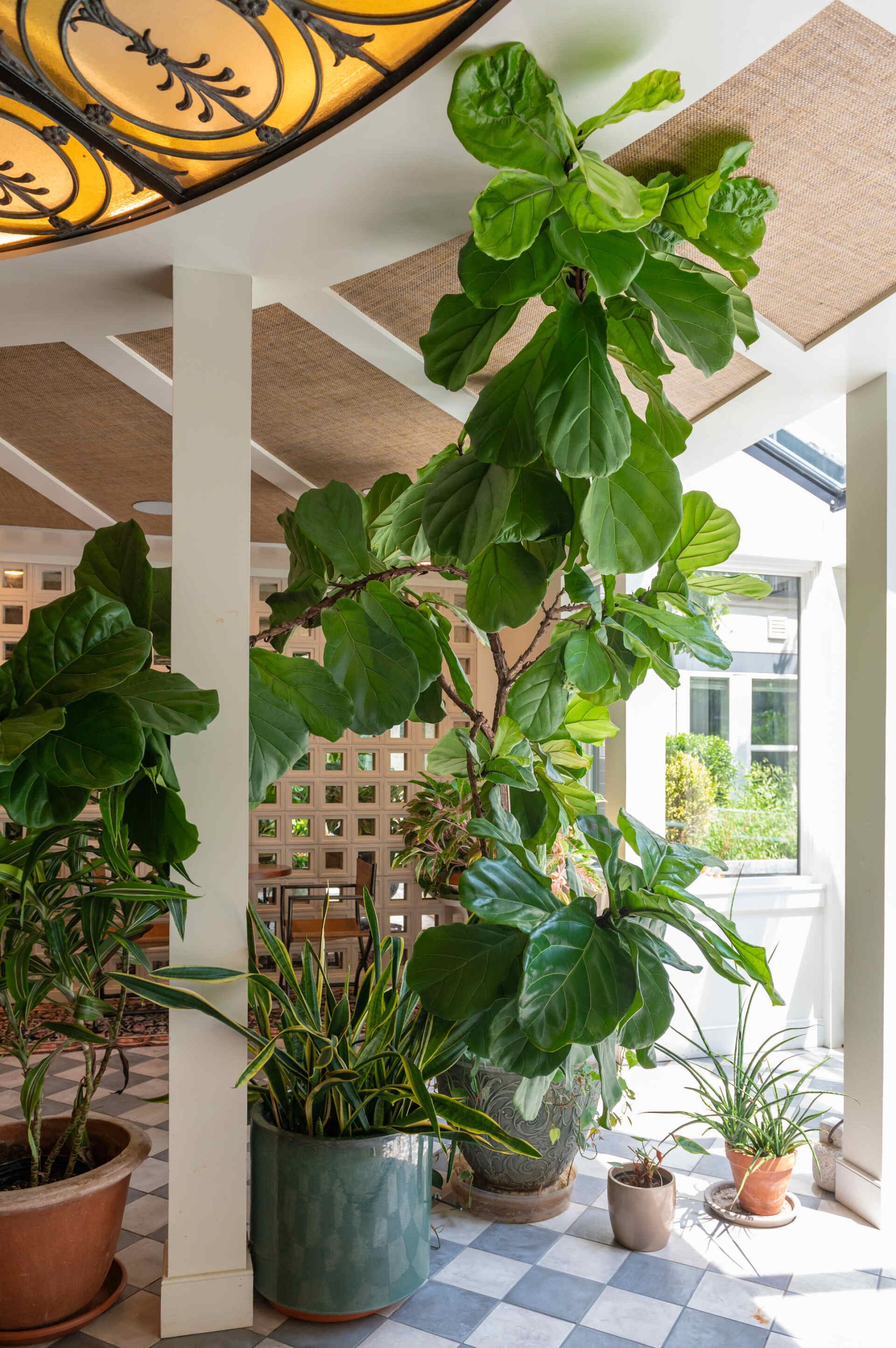 Sun Room